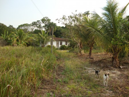 Sitio em Palmital de Saquarema - 75,562,40 m², com duas casas simples de 2 e 3 quartos, tipografia plana, excelente para mais variadas culturas, com variedades de árvores ftutiferas